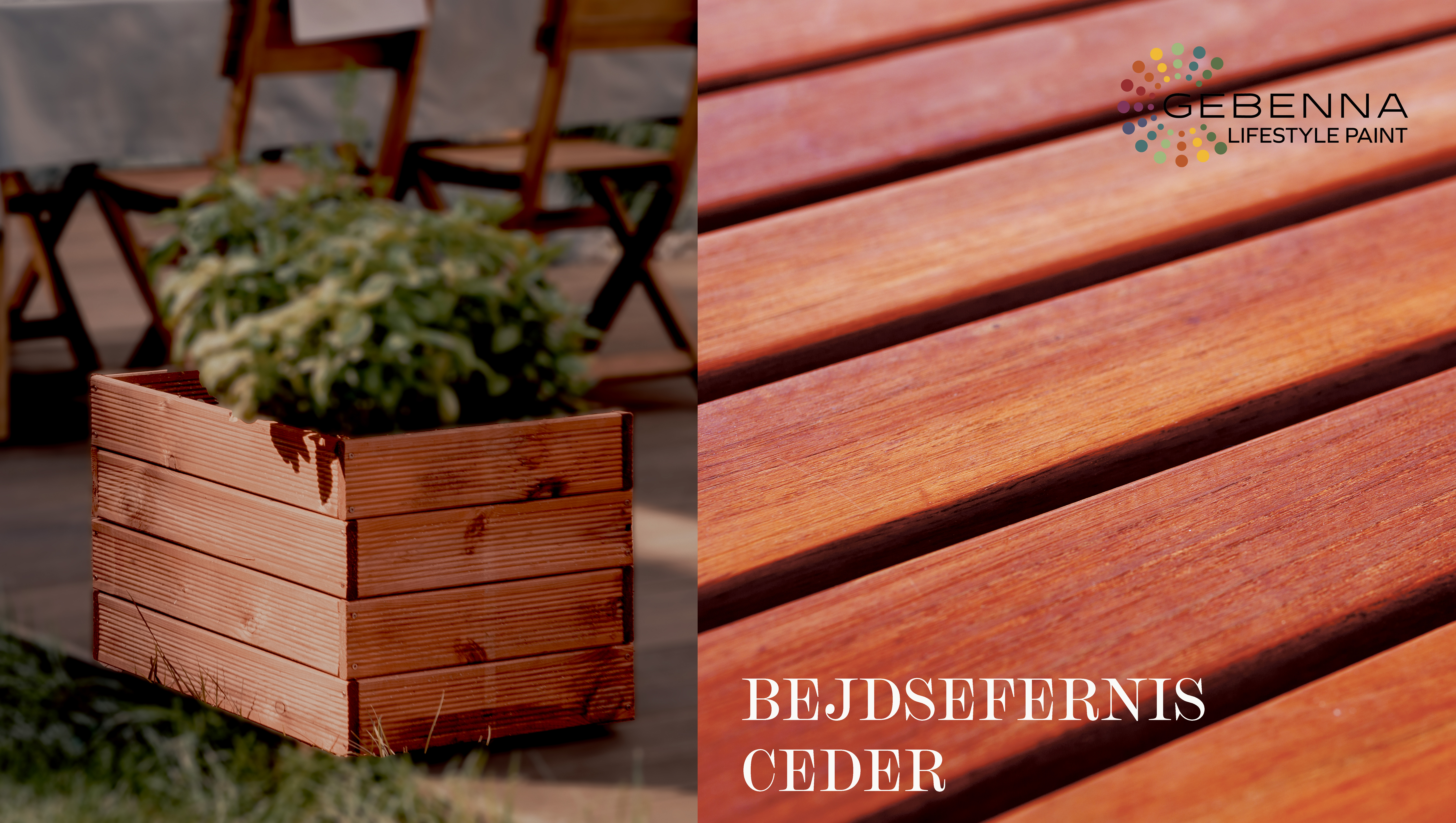 BEJDSEFERNIS CEDER.jpg